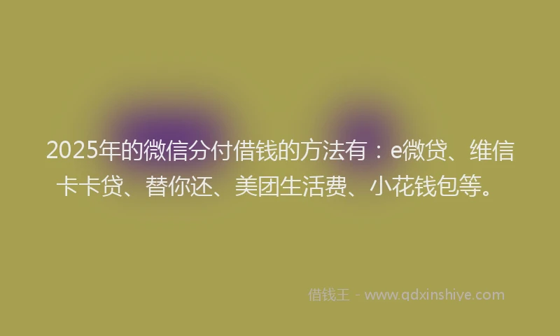 2025年的微信分付借钱的方法有：e微贷、维信卡卡贷、替你还、美团生活费、小花钱包等。