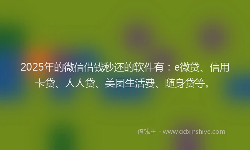 2025年的微信借钱秒还的软件有：e微贷、信用卡贷、人人贷、美团生活费、随身贷等。