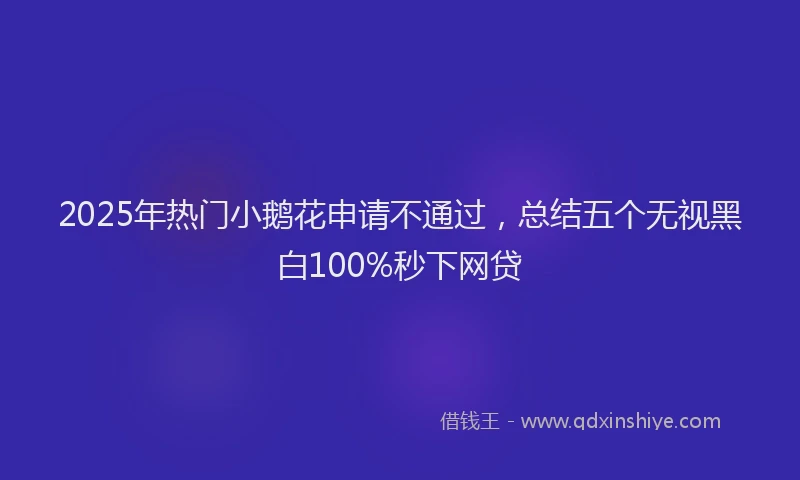 2025年热门小鹅花申请不通过，总结五个无视黑白100%秒下网贷
