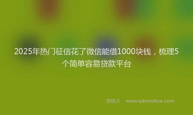 2025年热门征信花了微信能借1000块钱，梳理5个简单容易贷款平台