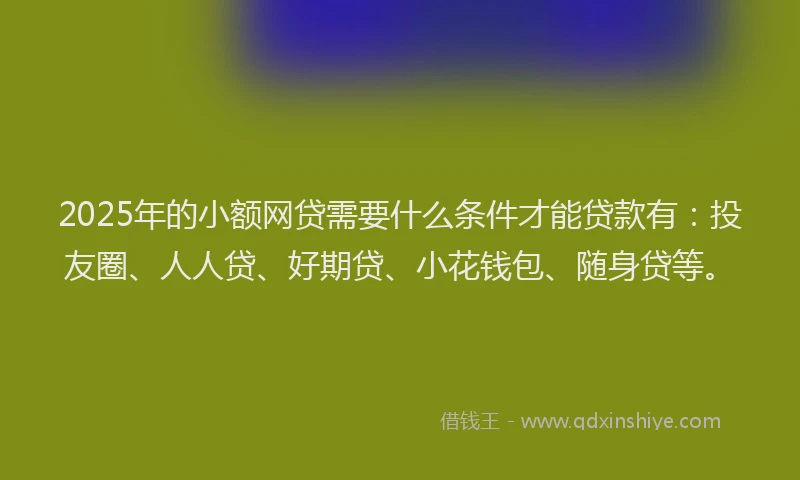 2025年的小额网贷需要什么条件才能贷款有：投友圈、人人贷、好期贷、小花钱包、随身贷等。