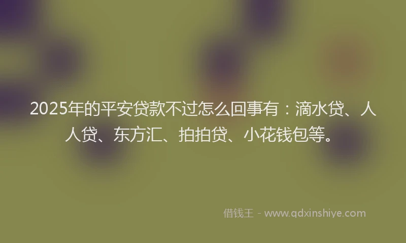 2025年的平安贷款不过怎么回事有：滴水贷、人人贷、东方汇、拍拍贷、小花钱包等。