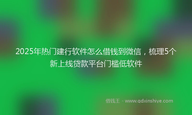 2025年热门建行软件怎么借钱到微信，梳理5个新上线贷款平台门槛低软件