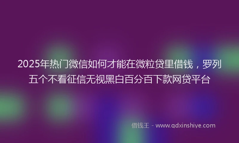 2025年热门微信如何才能在微粒贷里借钱，罗列五个不看征信无视黑白百分百下款网贷平台