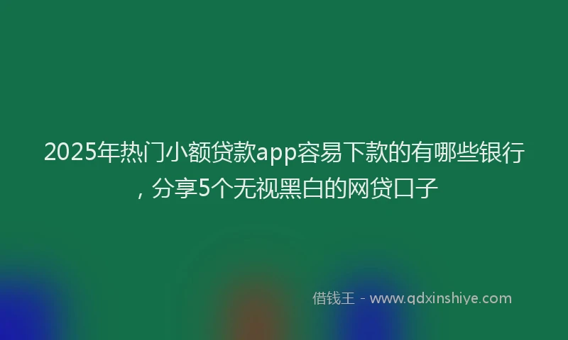 2025年热门小额贷款app容易下款的有哪些银行，分享5个无视黑白的网贷口子