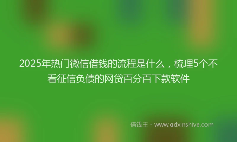 2025年热门微信借钱的流程是什么，梳理5个不看征信负债的网贷百分百下款软件