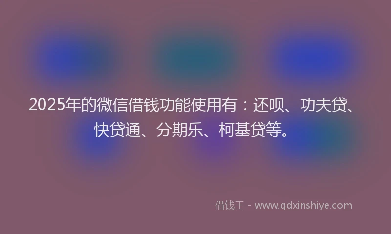 2025年的微信借钱功能使用有：还呗、功夫贷、快贷通、分期乐、柯基贷等。