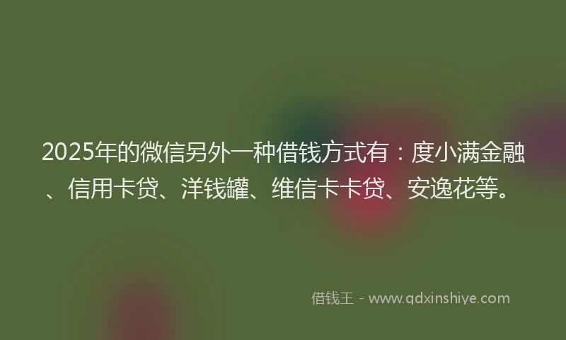 2025年的微信另外一种借钱方式有：度小满金融、信用卡贷、洋钱罐、维信卡卡贷、安逸花等。