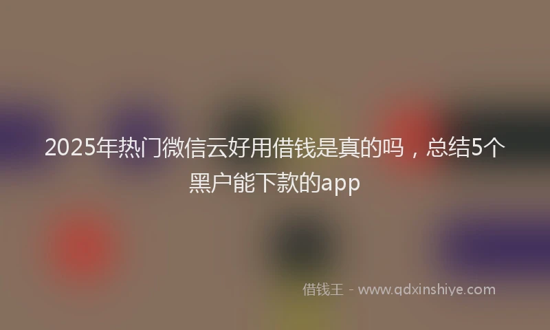 2025年热门微信云好用借钱是真的吗，总结5个黑户能下款的app