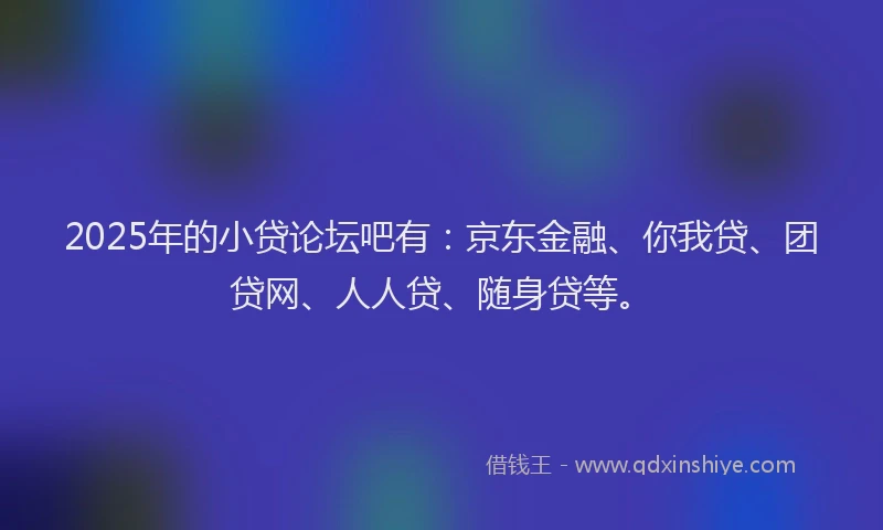 2025年的小贷论坛吧有：京东金融、你我贷、团贷网、人人贷、随身贷等。