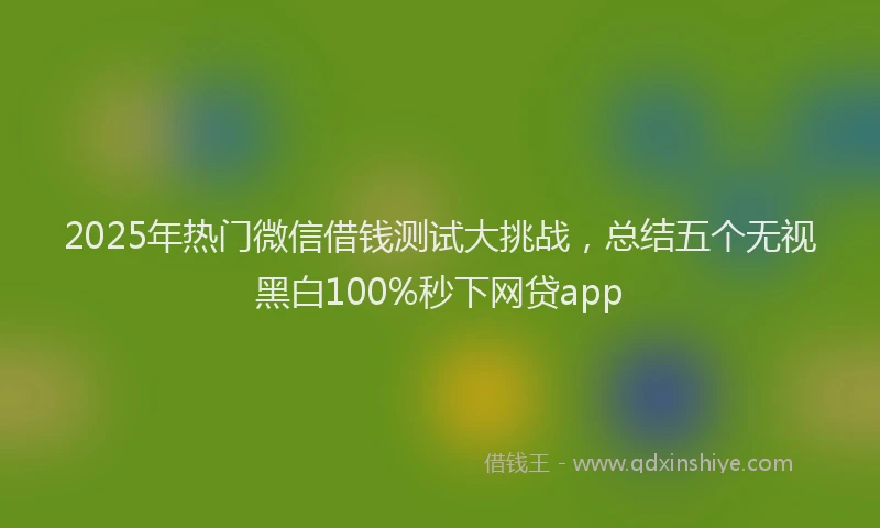 2025年热门微信借钱测试大挑战，总结五个无视黑白100%秒下网贷app
