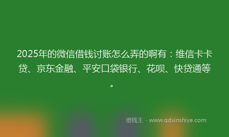 2025年的微信借钱讨账怎么弄的啊有：维信卡卡贷、京东金融、平安口袋银行、花呗、快贷通等。