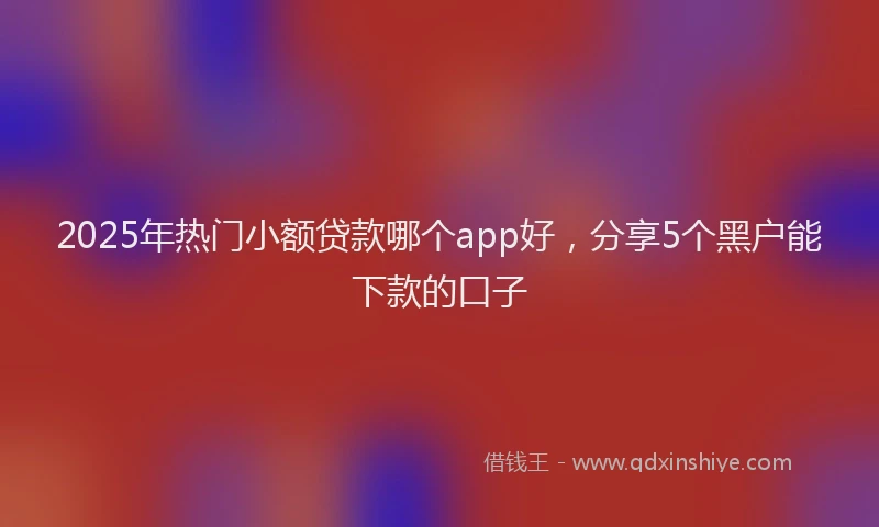 2025年热门小额贷款哪个app好，分享5个黑户能下款的口子