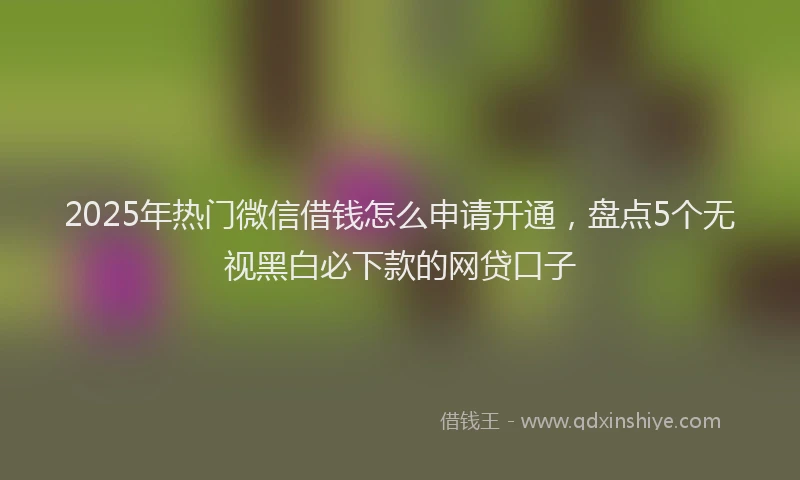 2025年热门微信借钱怎么申请开通，盘点5个无视黑白必下款的网贷口子