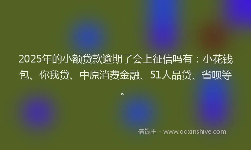 2025年的小额贷款逾期了会上征信吗有：小花钱包、你我贷、中原消费金融、51人品贷、省呗等。
