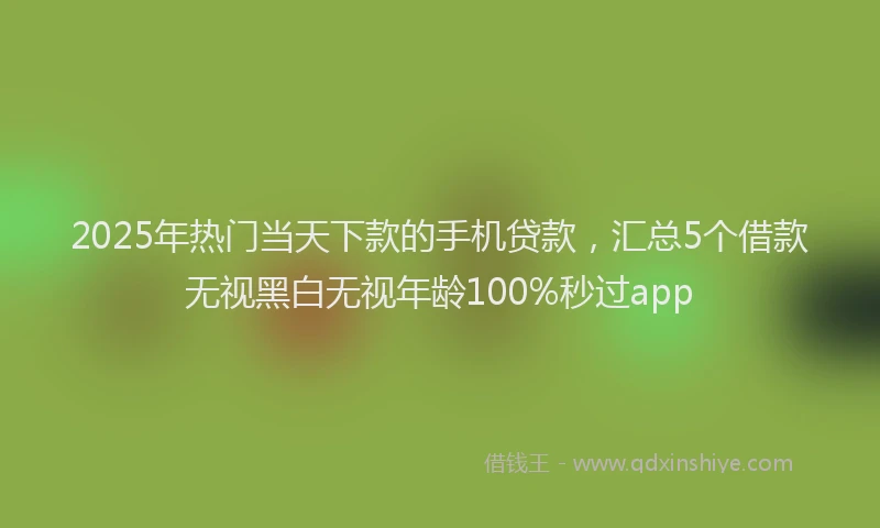 2025年热门当天下款的手机贷款，汇总5个借款无视黑白无视年龄100%秒过app