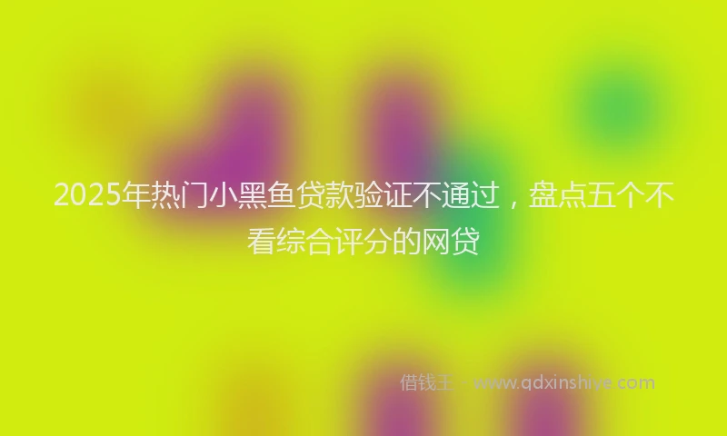 2025年热门小黑鱼贷款验证不通过，盘点五个不看综合评分的网贷
