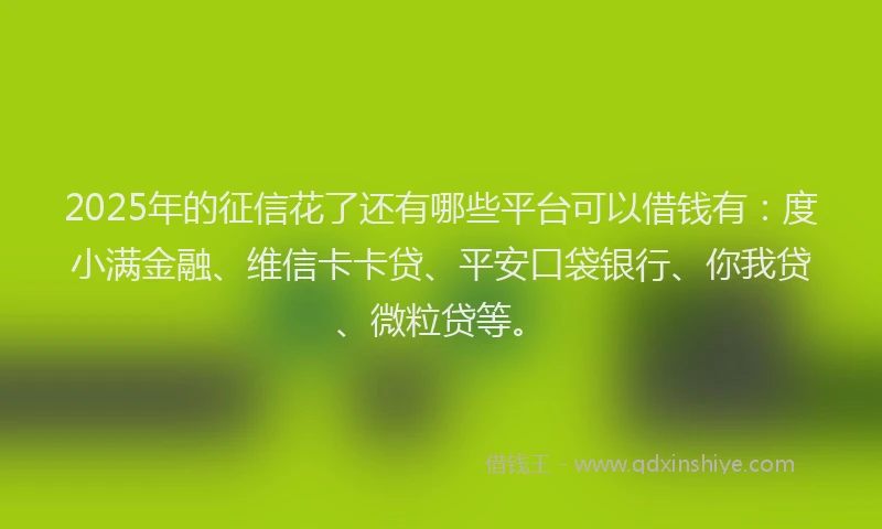 2025年的征信花了还有哪些平台可以借钱有：度小满金融、维信卡卡贷、平安口袋银行、你我贷、微粒贷等。