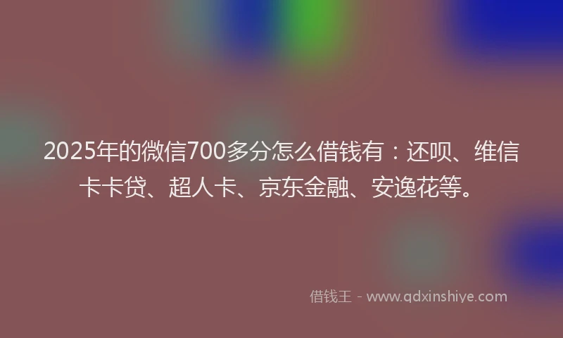 2025年的微信700多分怎么借钱有：还呗、维信卡卡贷、超人卡、京东金融、安逸花等。