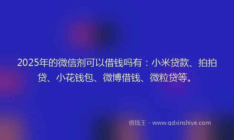 2025年的微信剂可以借钱吗有：小米贷款、拍拍贷、小花钱包、微博借钱、微粒贷等。