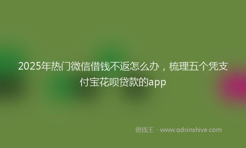 2025年热门微信借钱不返怎么办，梳理五个凭支付宝花呗贷款的app