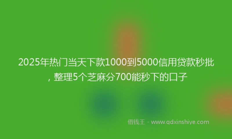 2025年热门当天下款1000到5000信用贷款秒批，整理5个芝麻分700能秒下的口子
