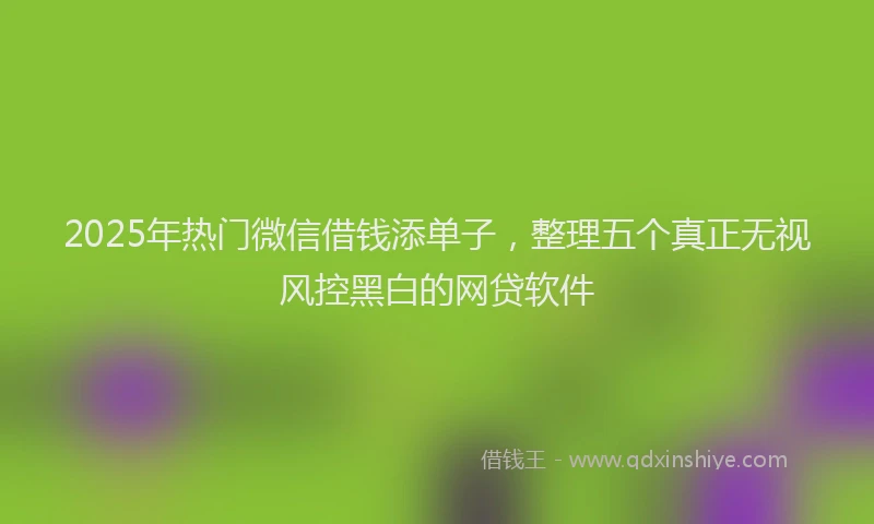 2025年热门微信借钱添单子，整理五个真正无视风控黑白的网贷软件