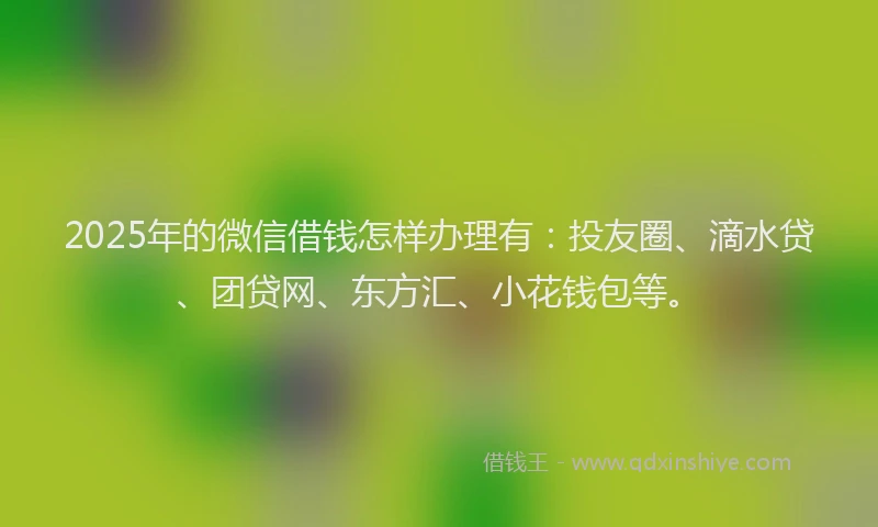 2025年的微信借钱怎样办理有：投友圈、滴水贷、团贷网、东方汇、小花钱包等。