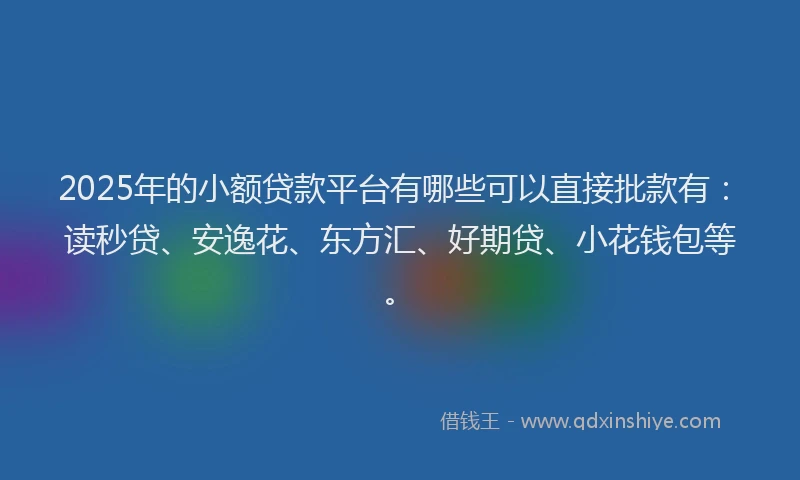 2025年的小额贷款平台有哪些可以直接批款有：读秒贷、安逸花、东方汇、好期贷、小花钱包等。