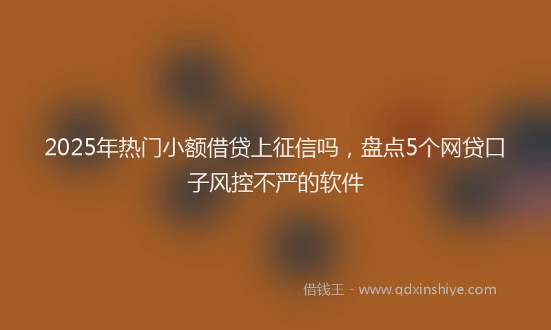 2025年热门小额借贷上征信吗，盘点5个网贷口子风控不严的软件