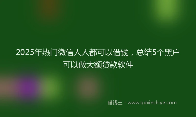 2025年热门微信人人都可以借钱，总结5个黑户可以做大额贷款软件