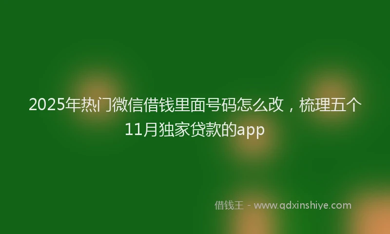 2025年热门微信借钱里面号码怎么改，梳理五个11月独家贷款的app
