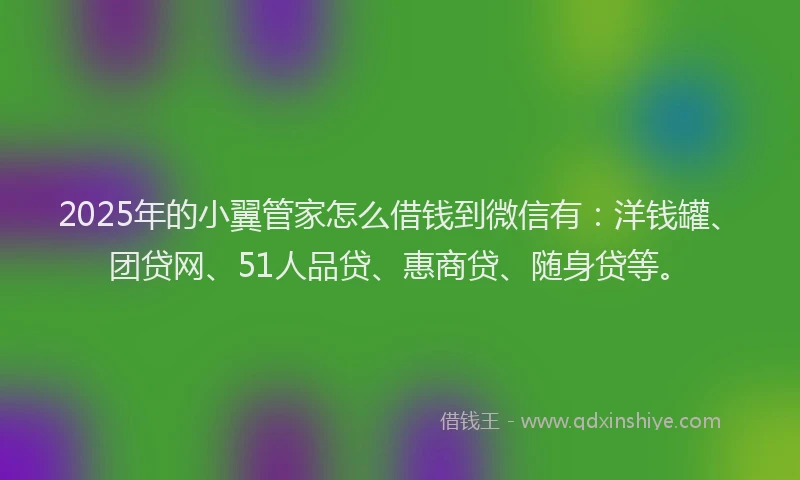 2025年的小翼管家怎么借钱到微信有：洋钱罐、团贷网、51人品贷、惠商贷、随身贷等。
