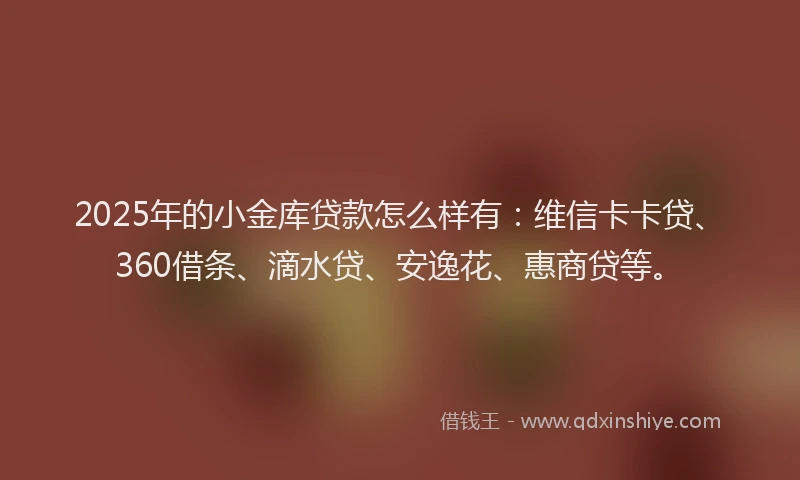 2025年的小金库贷款怎么样有：维信卡卡贷、360借条、滴水贷、安逸花、惠商贷等。