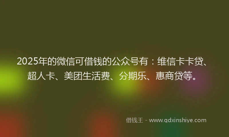 2025年的微信可借钱的公众号有：维信卡卡贷、超人卡、美团生活费、分期乐、惠商贷等。