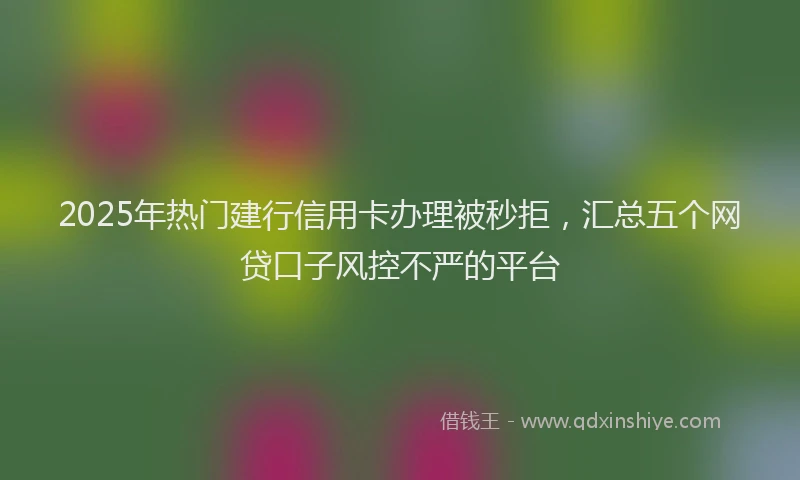 2025年热门建行信用卡办理被秒拒，汇总五个网贷口子风控不严的平台