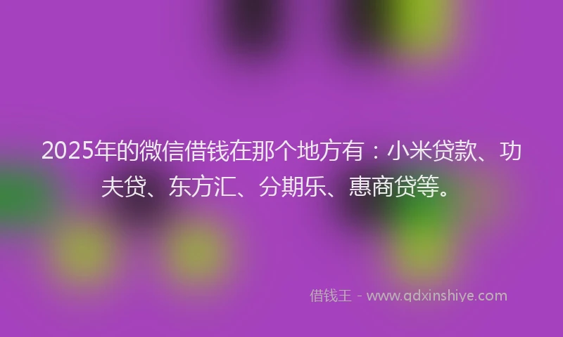 2025年的微信借钱在那个地方有：小米贷款、功夫贷、东方汇、分期乐、惠商贷等。