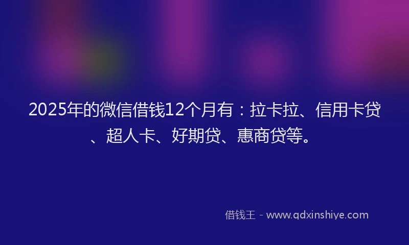 2025年的微信借钱12个月有：拉卡拉、信用卡贷、超人卡、好期贷、惠商贷等。