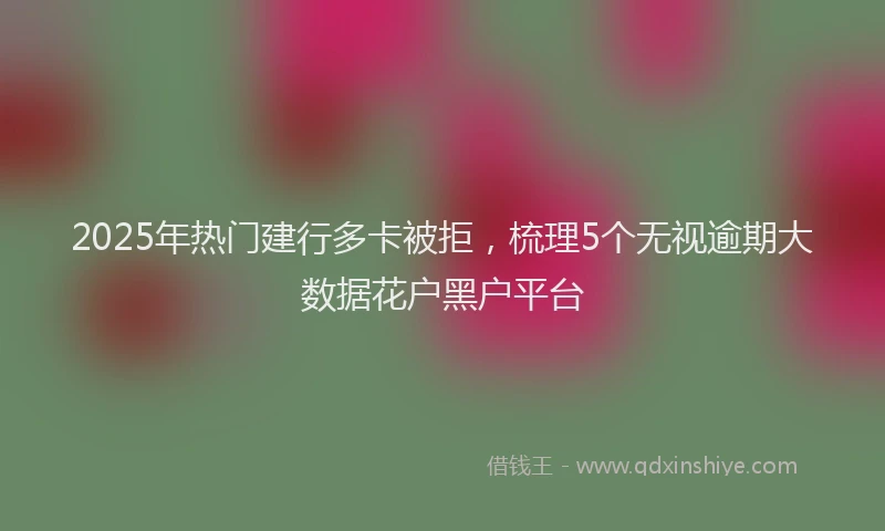 2025年热门建行多卡被拒，梳理5个无视逾期大数据花户黑户平台