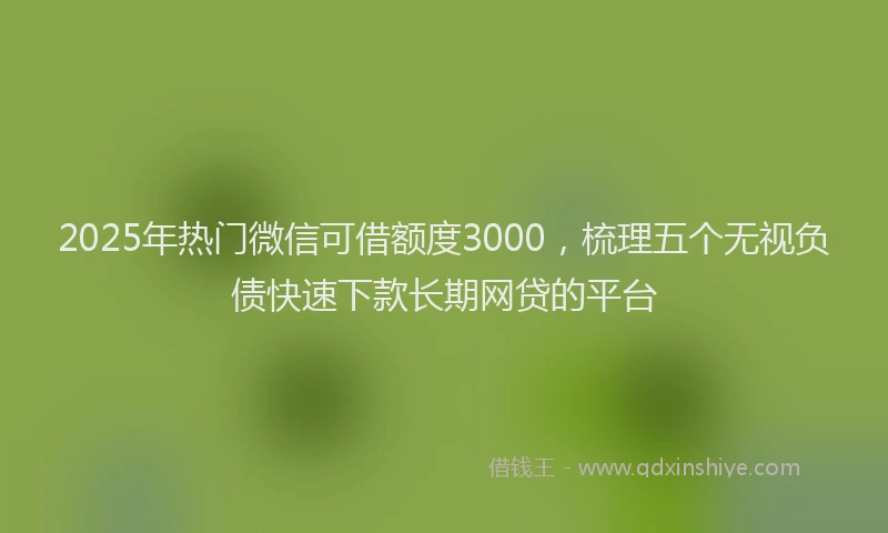 2025年热门微信可借额度3000，梳理五个无视负债快速下款长期网贷的平台