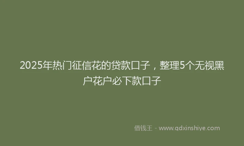 2025年热门征信花的贷款口子，整理5个无视黑户花户必下款口子