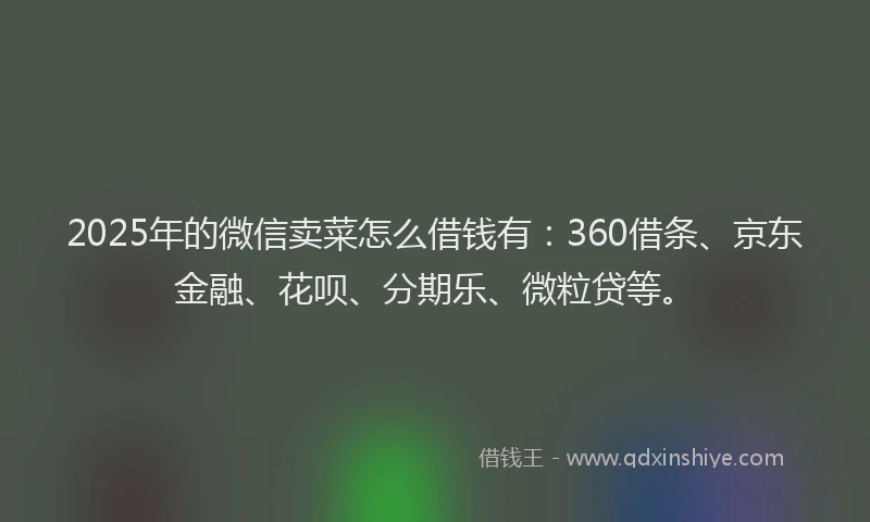 2025年的微信卖菜怎么借钱有：360借条、京东金融、花呗、分期乐、微粒贷等。
