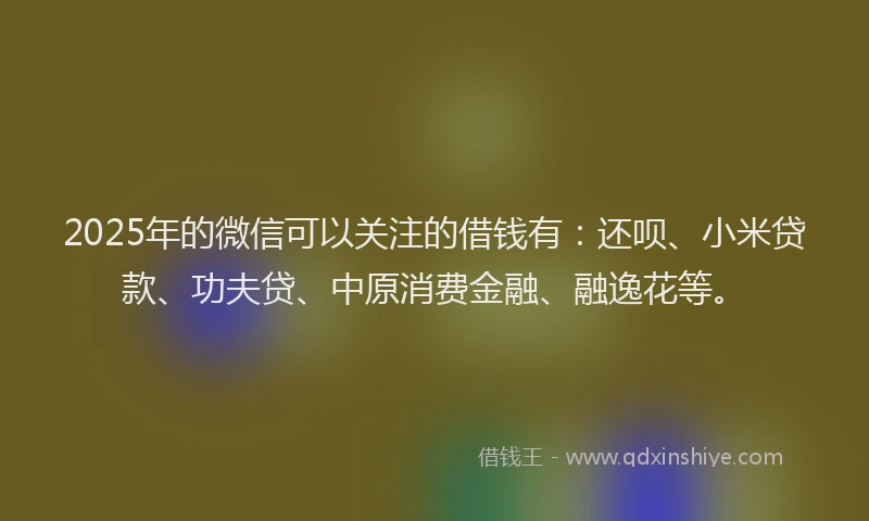 2025年的微信可以关注的借钱有：还呗、小米贷款、功夫贷、中原消费金融、融逸花等。