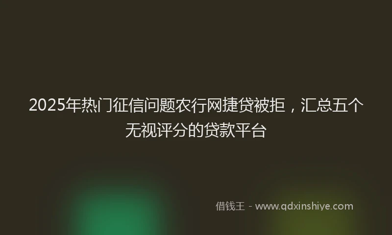 2025年热门征信问题农行网捷贷被拒，汇总五个无视评分的贷款平台