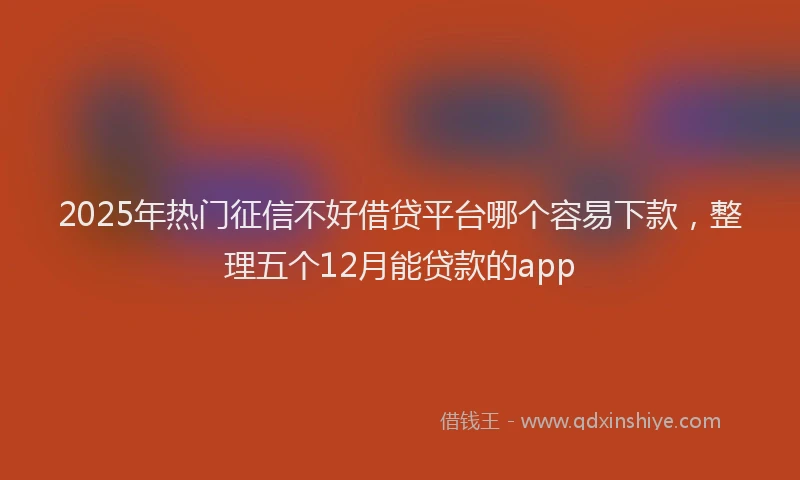 2025年热门征信不好借贷平台哪个容易下款，整理五个12月能贷款的app