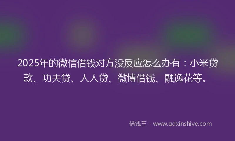 2025年的微信借钱对方没反应怎么办有：小米贷款、功夫贷、人人贷、微博借钱、融逸花等。