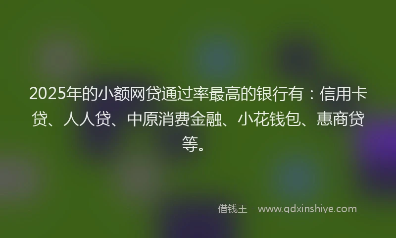 2025年的小额网贷通过率最高的银行有：信用卡贷、人人贷、中原消费金融、小花钱包、惠商贷等。