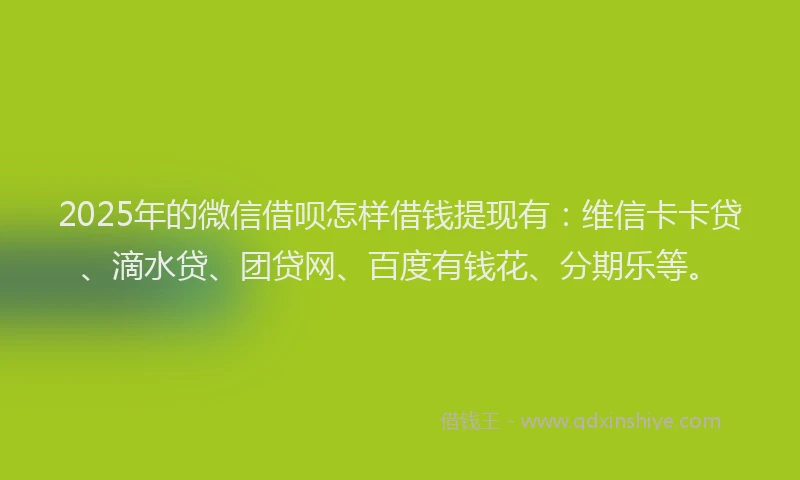 2025年的微信借呗怎样借钱提现有：维信卡卡贷、滴水贷、团贷网、百度有钱花、分期乐等。
