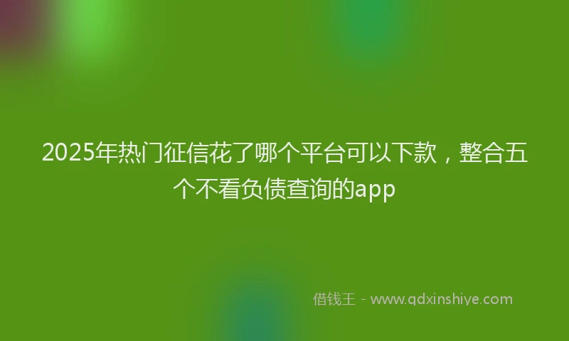 2025年热门征信花了哪个平台可以下款，整合五个不看负债查询的app