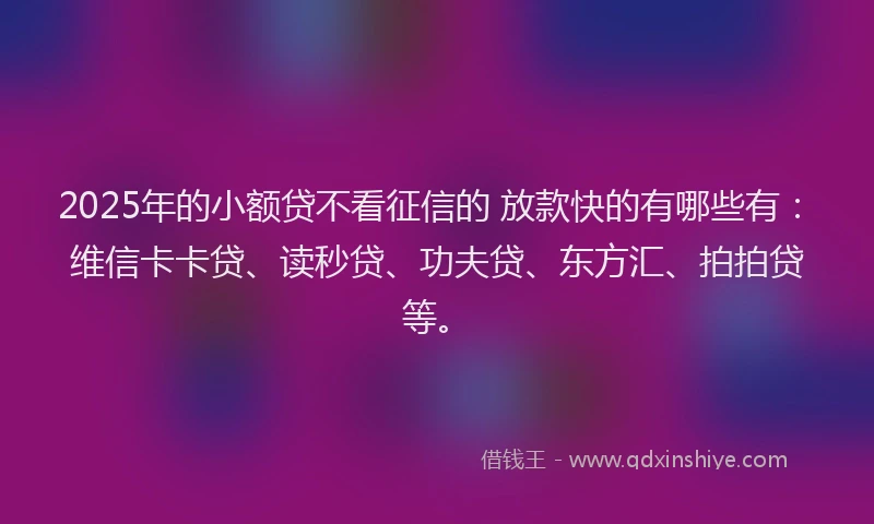 2025年的小额贷不看征信的 放款快的有哪些有：维信卡卡贷、读秒贷、功夫贷、东方汇、拍拍贷等。